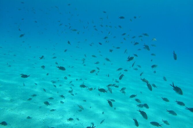 Mykonos Half-Day Hiking Adventure - Final Thoughts