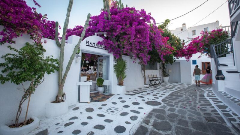 Mykonos: Mykonos Town Private Walking Tour - Duration, Price, and Value