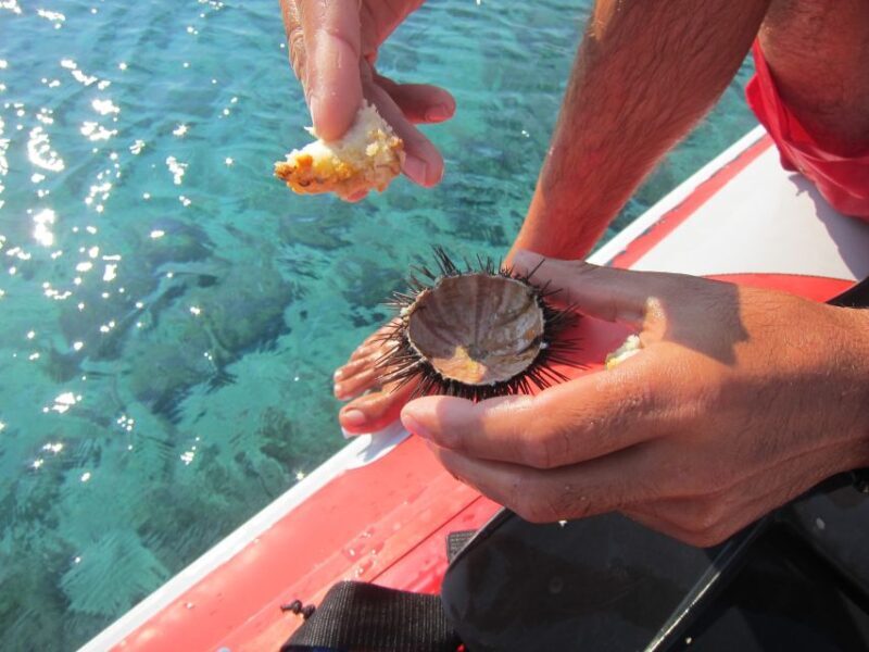 Mykonos: Private Boat Trip and Snorkeling Sea Safari - Exploring the Mykonos Sea Safari in Detail