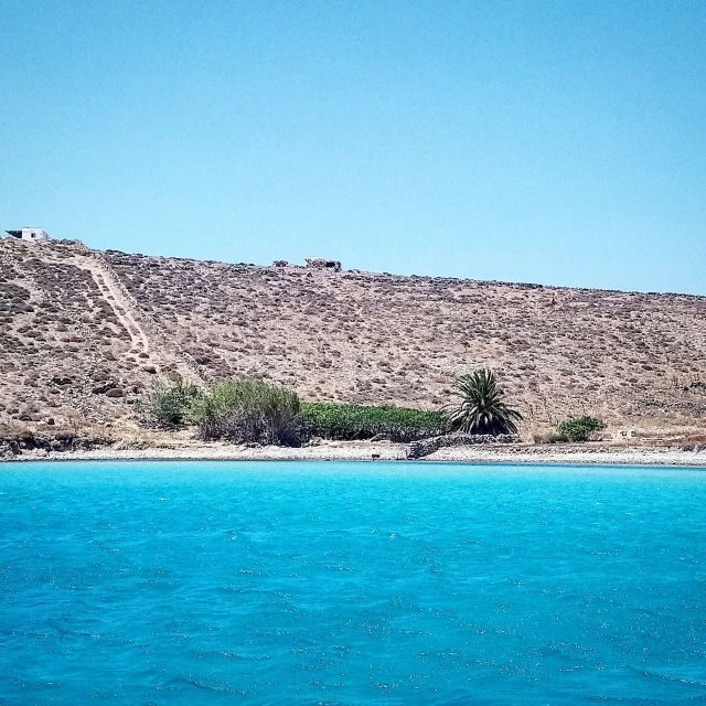 Mykonos: Private Delos and Rhenia 6hrs Cruise with Lunch - Key Points