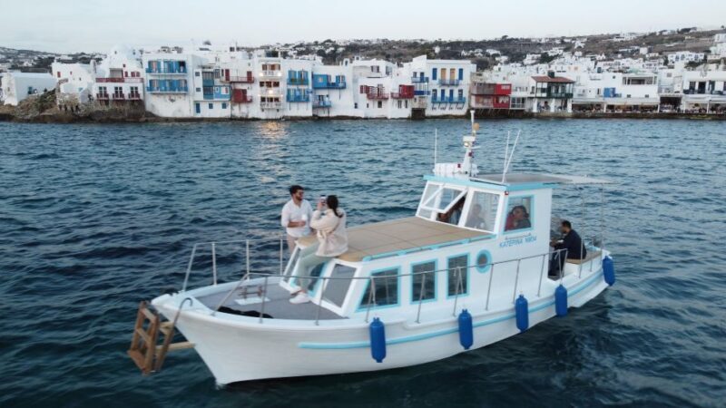 Mykonos: private half-day cruise south beaches of Mykonos - An In-Depth Look at the Mykonos Private Half-Day Cruise