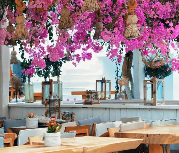 Mykonos: Private Island Tour with Transfers and Greek Meal - The Bottom Line