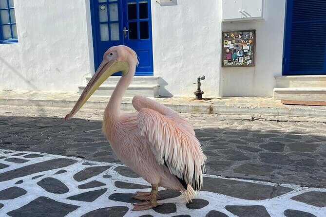 Mykonos Semi Private Bus Tour in English Spanish - Frequently Asked Questions