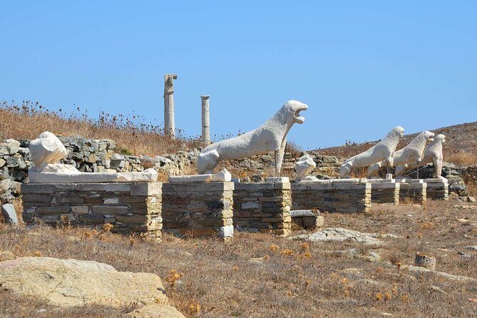 Mykonos Shore Excursion: Private Tour to Delos Island - Meeting Points and Practical Details