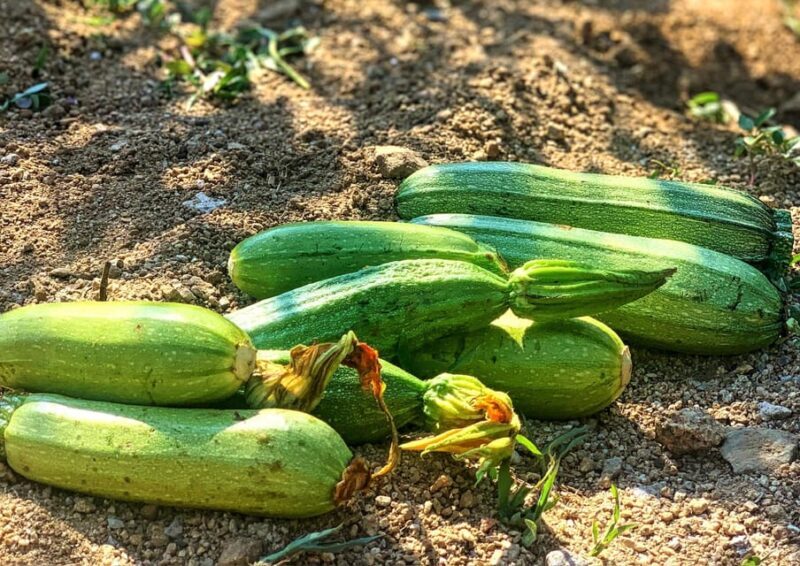 Mykonos: Traditional Cooking Class with the Locals - Who Should Consider This Tour?