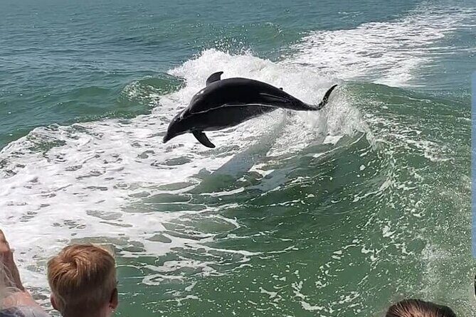 Myrtle Beach Dolphin Cruise - The Sum Up