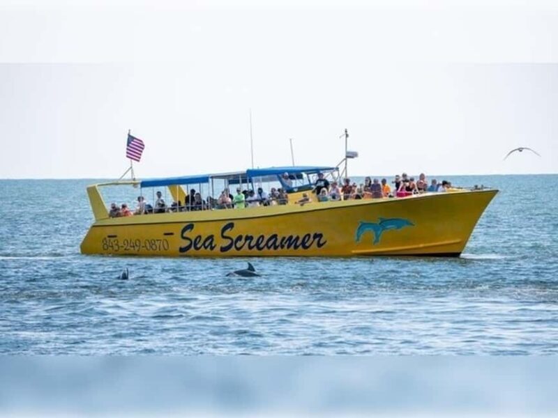 Myrtle Beach: Dolphin Cruise on the Sea Screamer - What to Expect During Your Dolphin Cruise