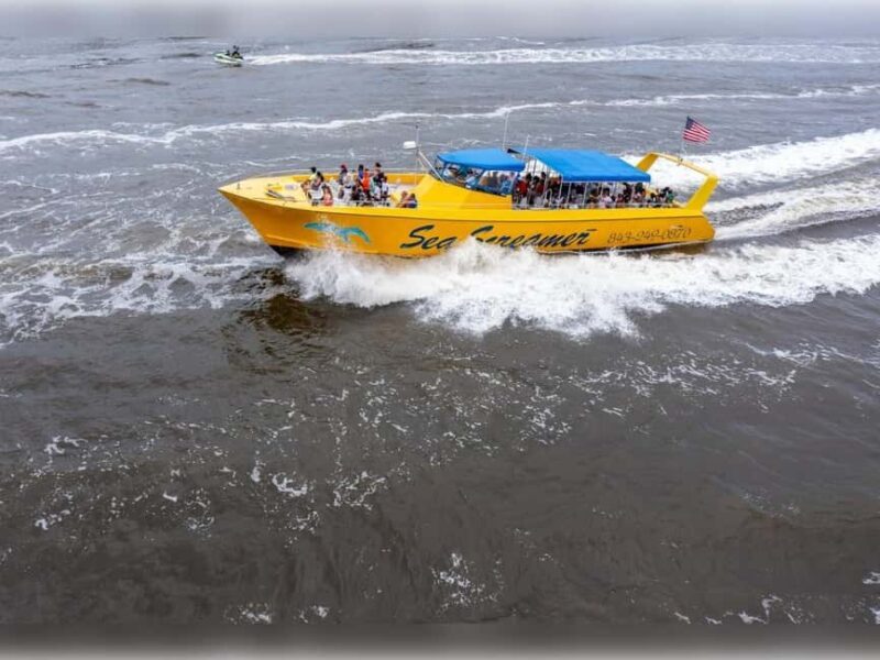 Myrtle Beach: Dolphin Cruise on the Sea Screamer - Who Would Love This Tour?