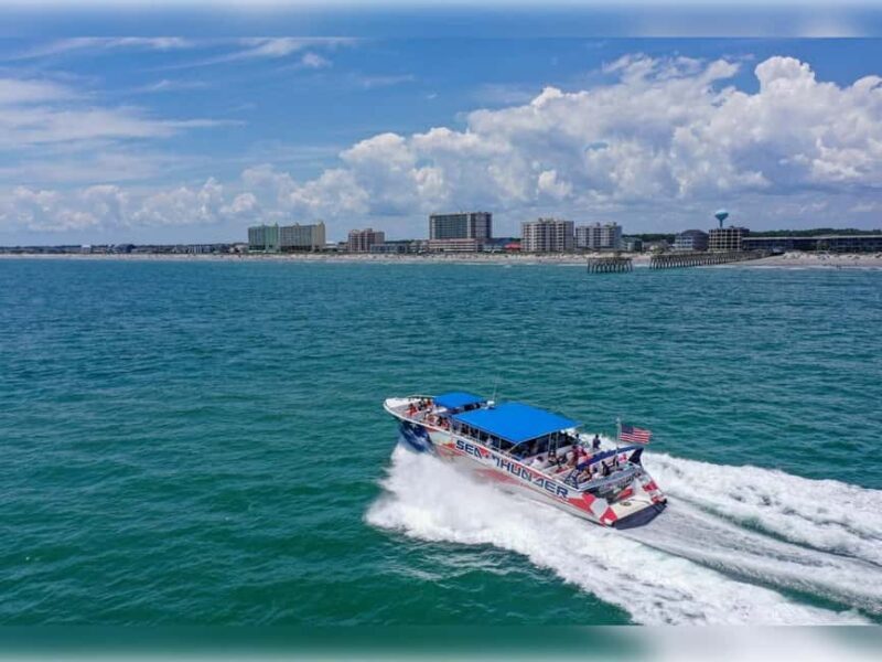 Myrtle Beach: Dolphin Cruise on the Sea Thunder - Wildlife and Coastline Views