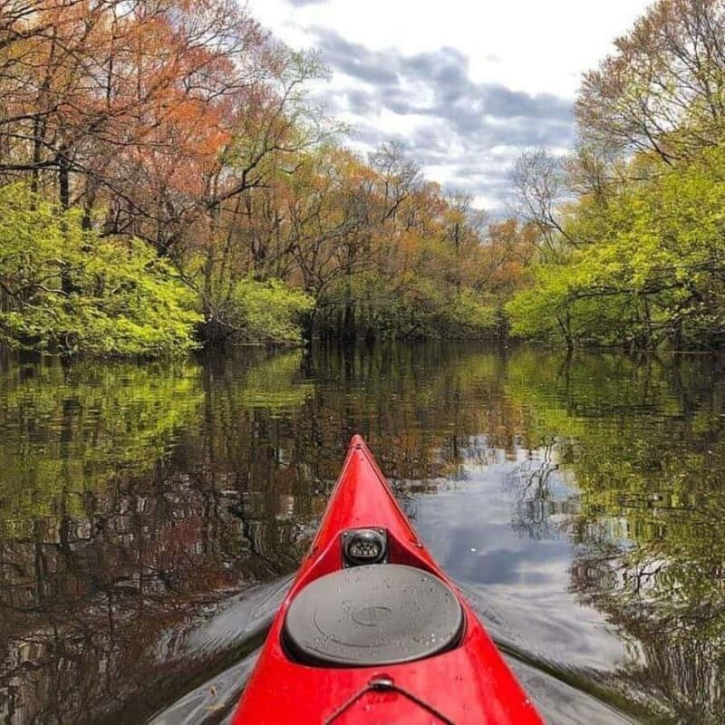 Myrtle Beach: Waccamaw River Kayak Island Tour - Key Points