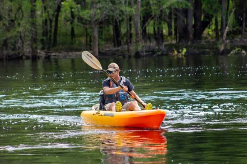 Myrtle Beach: Waccamaw River Kayak Island Tour - A Genuine Look at the Waccamaw River Kayak Island Tour