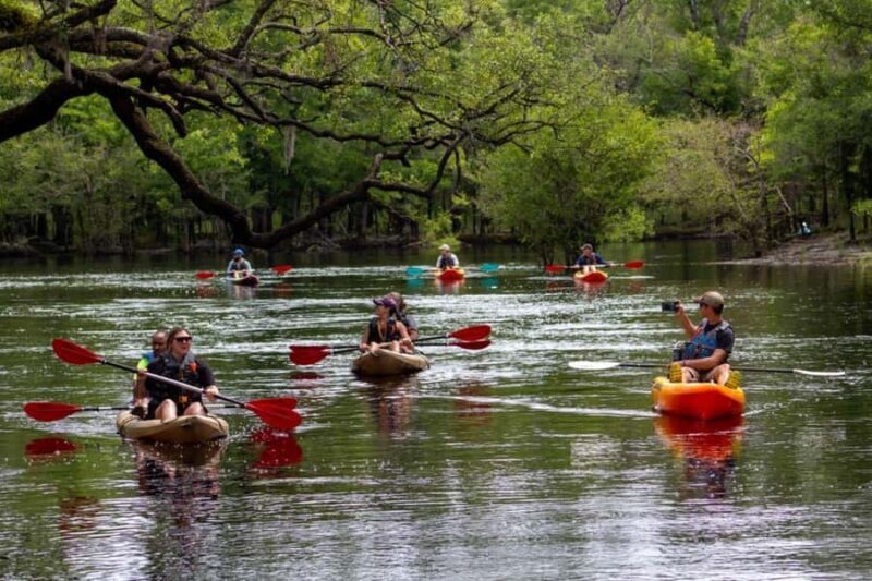 Myrtle Beach: Waccamaw River Kayak Island Tour - FAQ