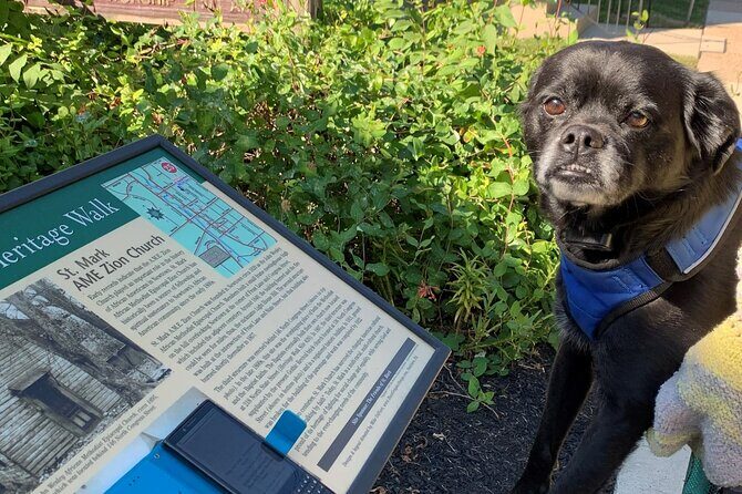 Mysteries on the Move: Scavenger Hunt in Boston - Final Thoughts