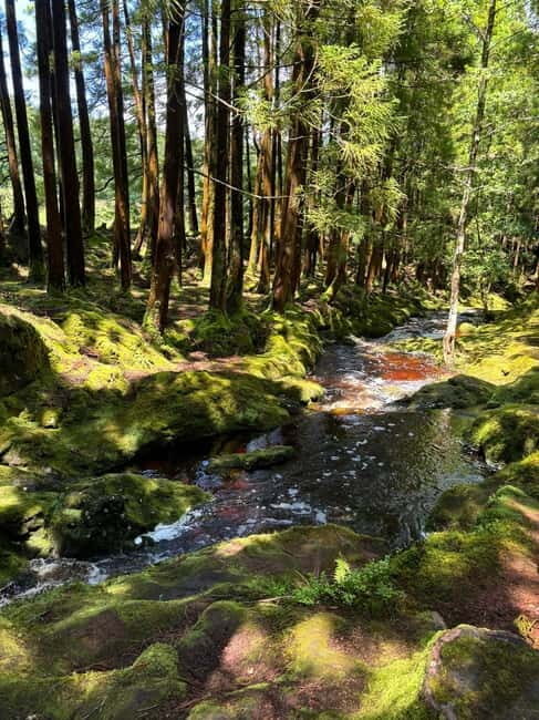 Mystery Tour of Terceira Island - Key Points