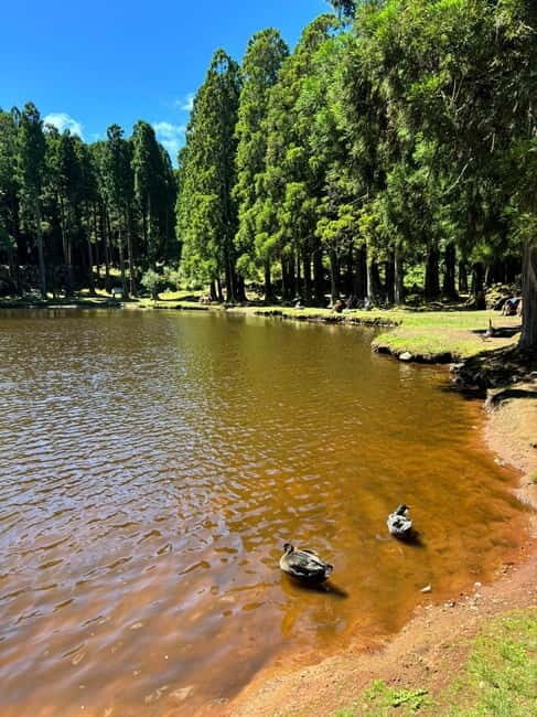 Mystery Tour of Terceira Island - Practical Details and Considerations