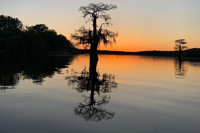 Mystical Private Kayak and Canoe Tours on Caddo Lake - Discovering Caddo Lake: An Honest Look at the Experience