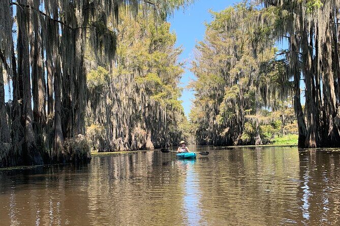 Mystical Private Kayak and Canoe Tours on Caddo Lake - The Practical Details: What You Need to Know