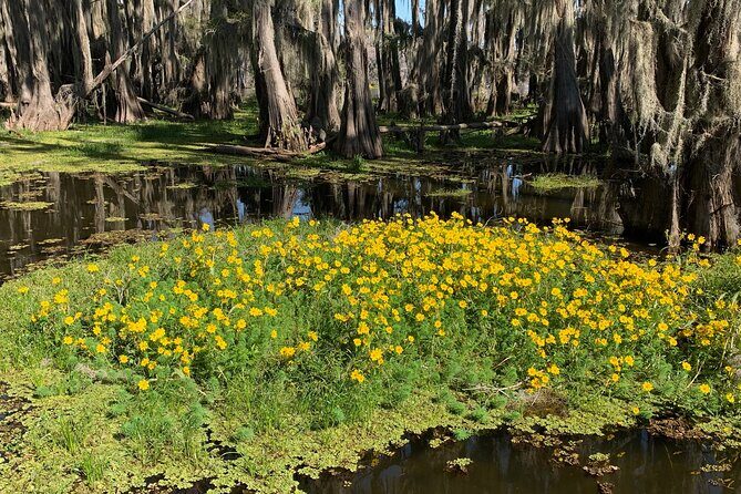 Mystical Private Kayak and Canoe Tours on Caddo Lake - FAQ