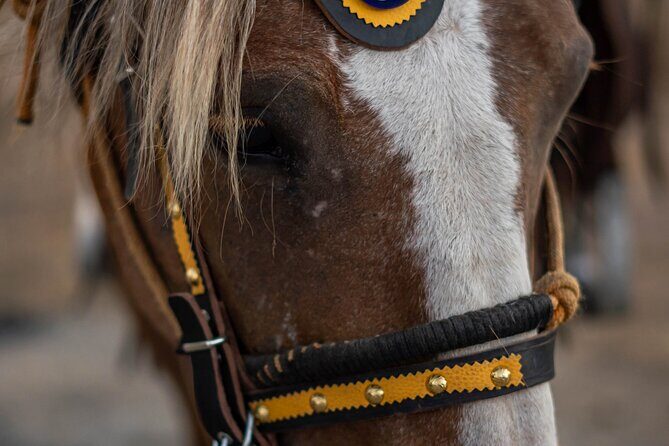 Mystical Sunset Horseback Ride in Meteora: 1-Hour Adventure - The Value of the Experience