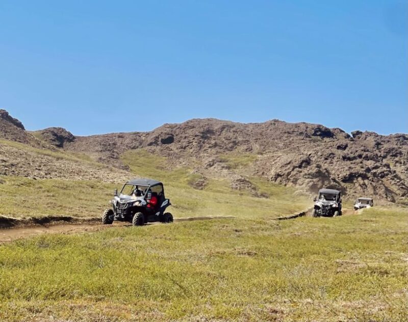 Mývatn: Lake Mývatn ATV Guided Safari Experience - Authentic Traveler Insights