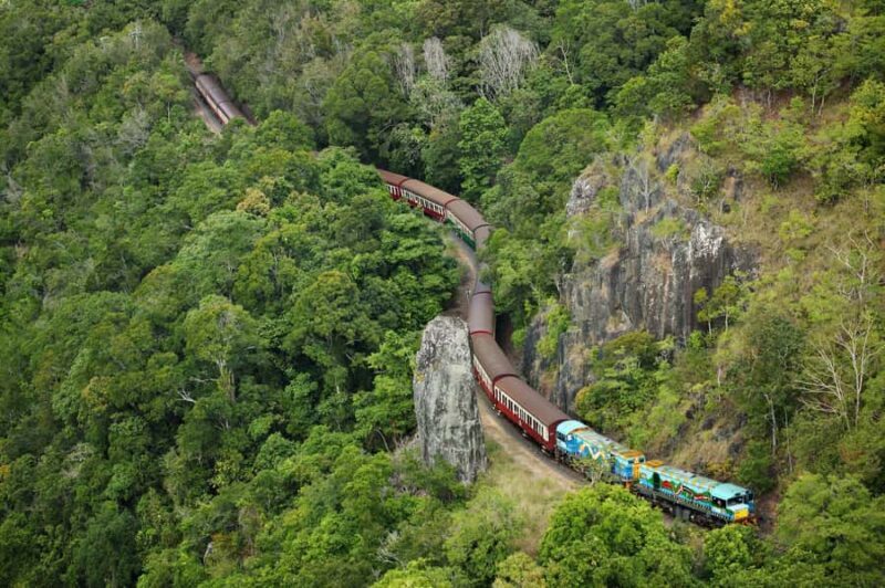 N. Queensland: Kuranda Rainforest Full-Day Tour - A Deep Dive into the Kuranda Rainforest Full-Day Tour