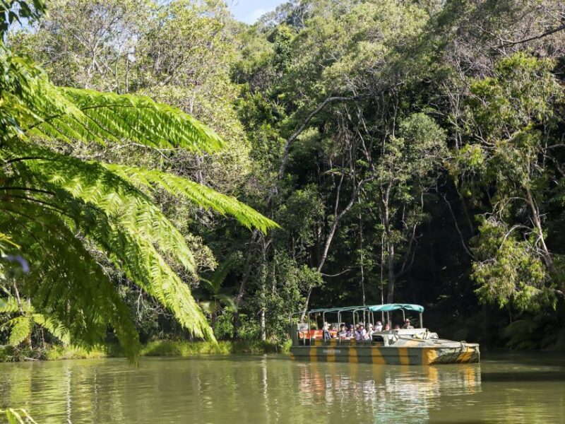 N. Queensland: Kuranda Rainforest Full-Day Tour - FAQ