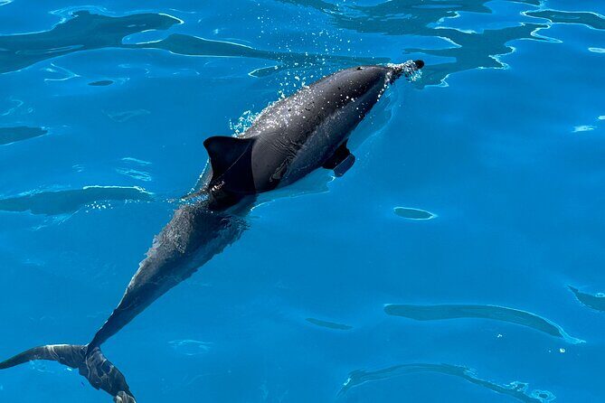 Na Pali Coast Power Catamaran - Optional Swimming and Snorkeling