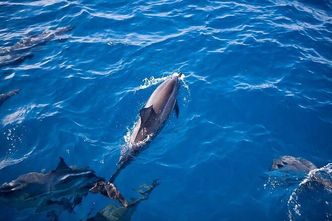 Na Pali Sunset & Sightsee Boat Tour - FAQ