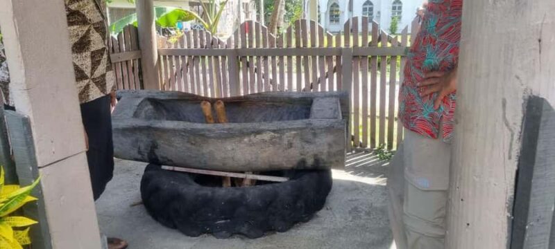 Nadi: Garden Village Hot Spring & Temple Highlights Tour - Who is This Tour Best Suited For?