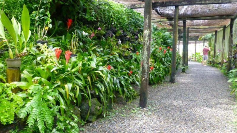 Nadi: Garden Village Hot Spring & Temple Highlights Tour - Final Thoughts