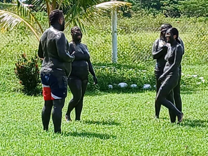 NADI: Sabeto Tifajek Mudpool & Hot Spring Tours & Tickets - Deep Dive into the Highlights