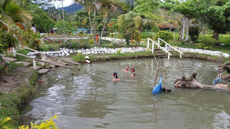 NADI: Sabeto Tifajek Mudpool & Hot Spring Tours & Tickets - FAQ: Your Questions Answered