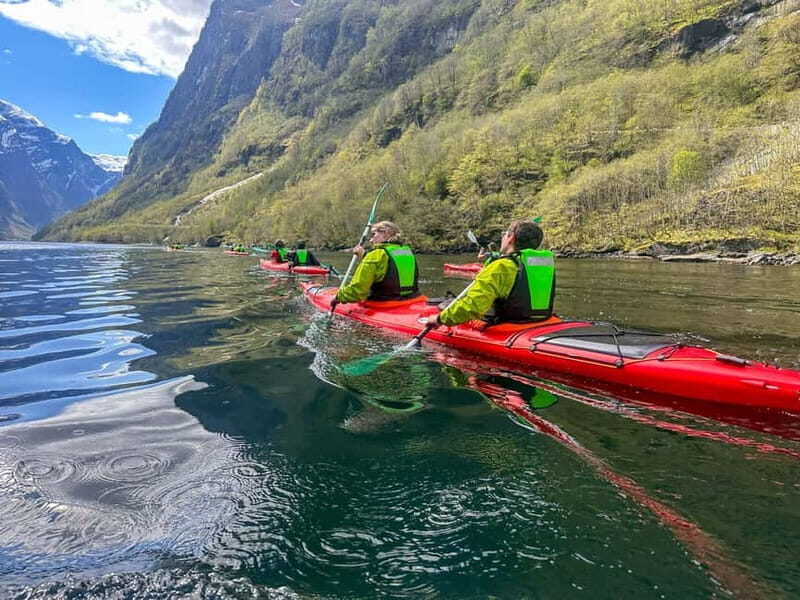Nærøyfjord Full-Day Guided Kayaking Trip - Key Points