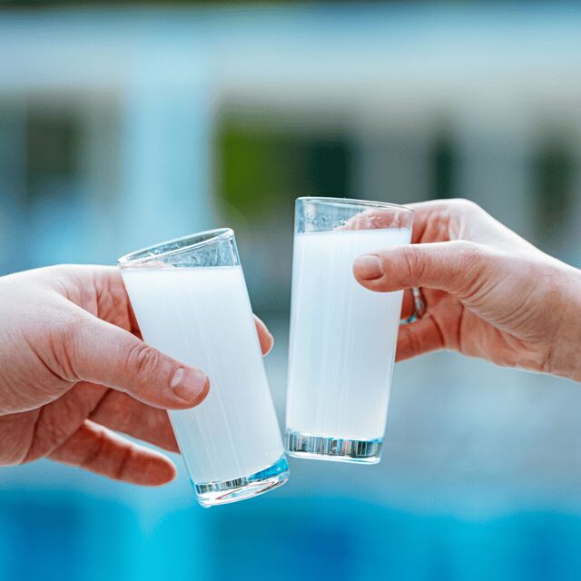 Nafplio: Greek Spirits Tasting - Key Points