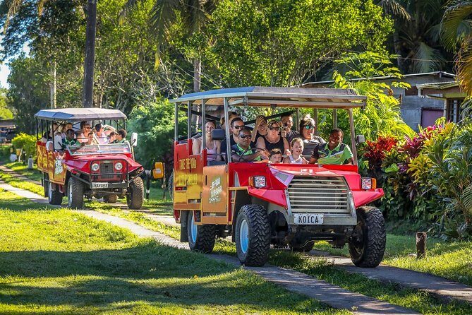 Naihehe Cave Safari in Sigatoka with BBQ Lunch - Pros and Cons at a Glance
