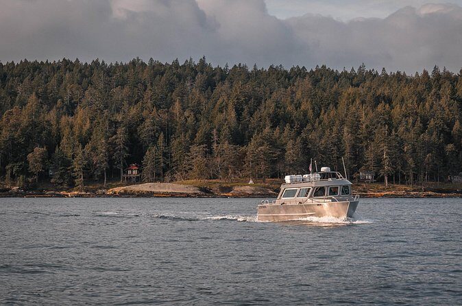 Nanaimo Private Whale Watching - Final Thoughts: Is It Worth It?