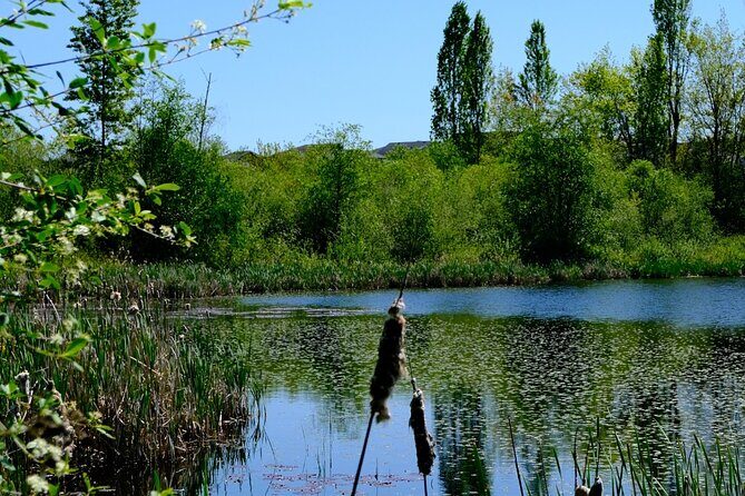 Nanaimo Urban Oasis Trail Walking Tour - Frequently Asked Questions