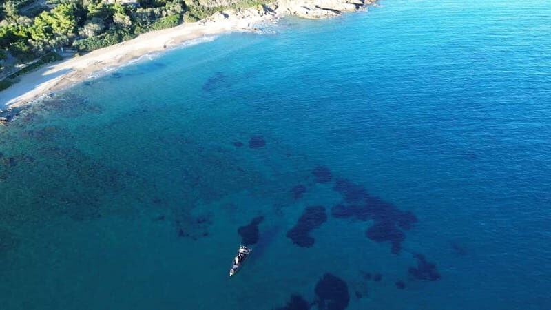 Naousa: Rineia, Delos, & Naxos Day Trip by Boat with Drinks - Key Points