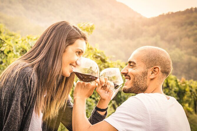 Napa and Sonoma-8-hr Private-Wine Tour from San Francisco XL SUV - What You Can Expect From This Napa and Sonoma Experience