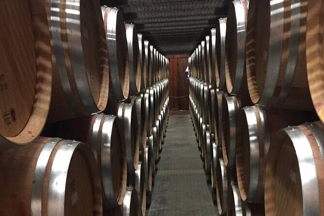 Napa and Sonoma Private Transportation - The Wine Tasting Experience: What You Should Know