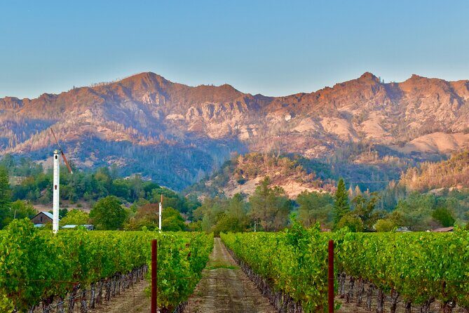 Napa Private 6-Hour Wine Adventure - The Breakdown of the Itinerary