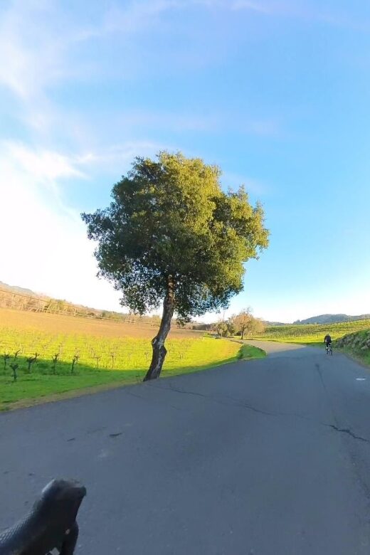 Napa/Sonoma: Guided Tour for Cycling Enthusiasts - Insider Access to Boutique Wineries
