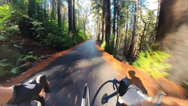 Napa/Sonoma: Guided Tour for Cycling Enthusiasts - Price and Value