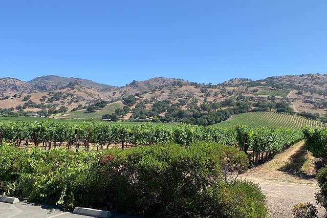 Napa & Sonoma Wine Tour | 6-8hr Private Fully Customized.*XL SUV - Who Should Consider This Tour?
