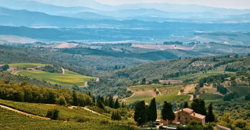 Napa Valley: Airplane Napa Valley Tour - The Sum Up