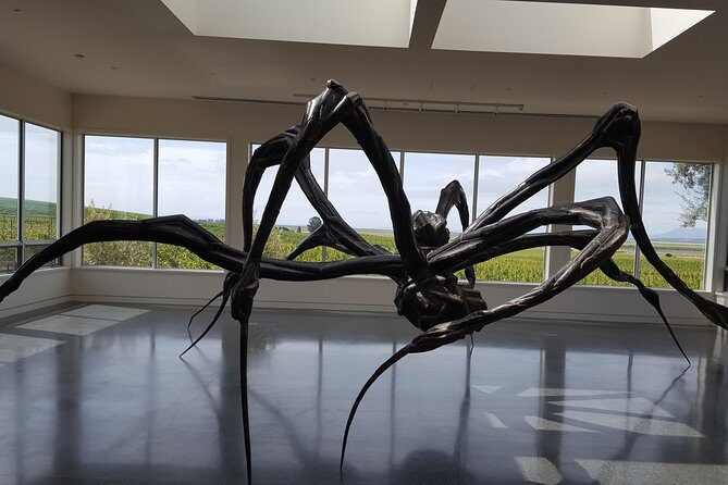 Napa Valley and Sonoma Wine Tour - Authentic Feedback from Travelers