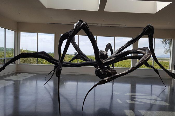 Napa Valley and Sonoma Wine Tour - Who Should Consider This Tour?