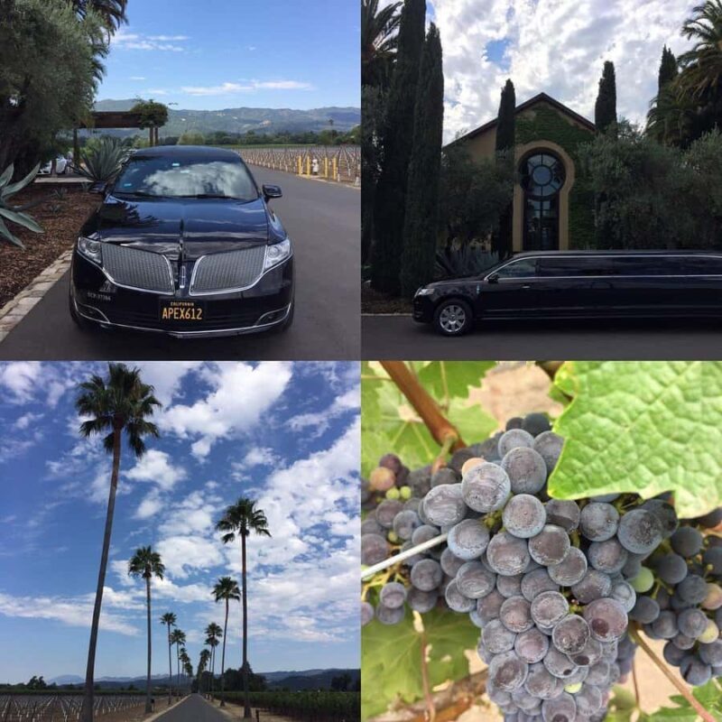 Napa Valley: Apex Limousine Transportation Tour - Who Will Love This Tour?