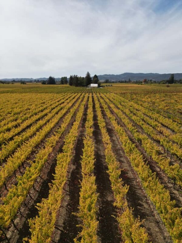 Napa Valley: ATV Vineyard Tour with Wine Tasting - FAQ