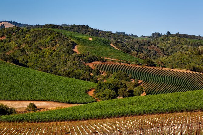 Napa Valley Wine Tasting Tour 6 to 8 Hours max 14 passenger - How the Day Unfolds